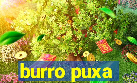burro puxa